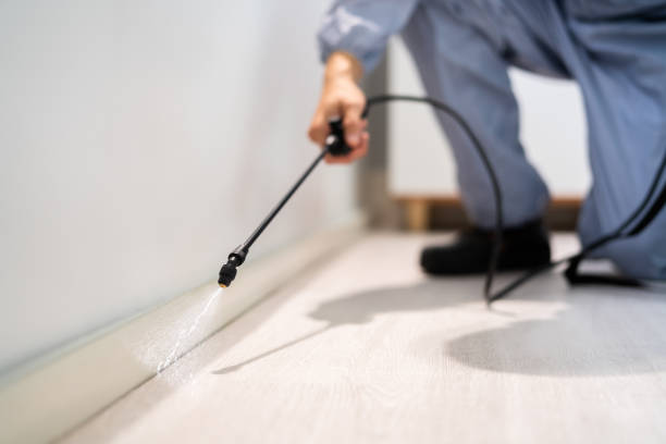 Bed Bug Pre-Treatment Preparation Assessment in St. John