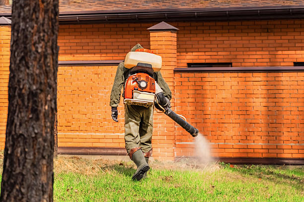 Bed Bug Clearance Verification and Documentation in St. John